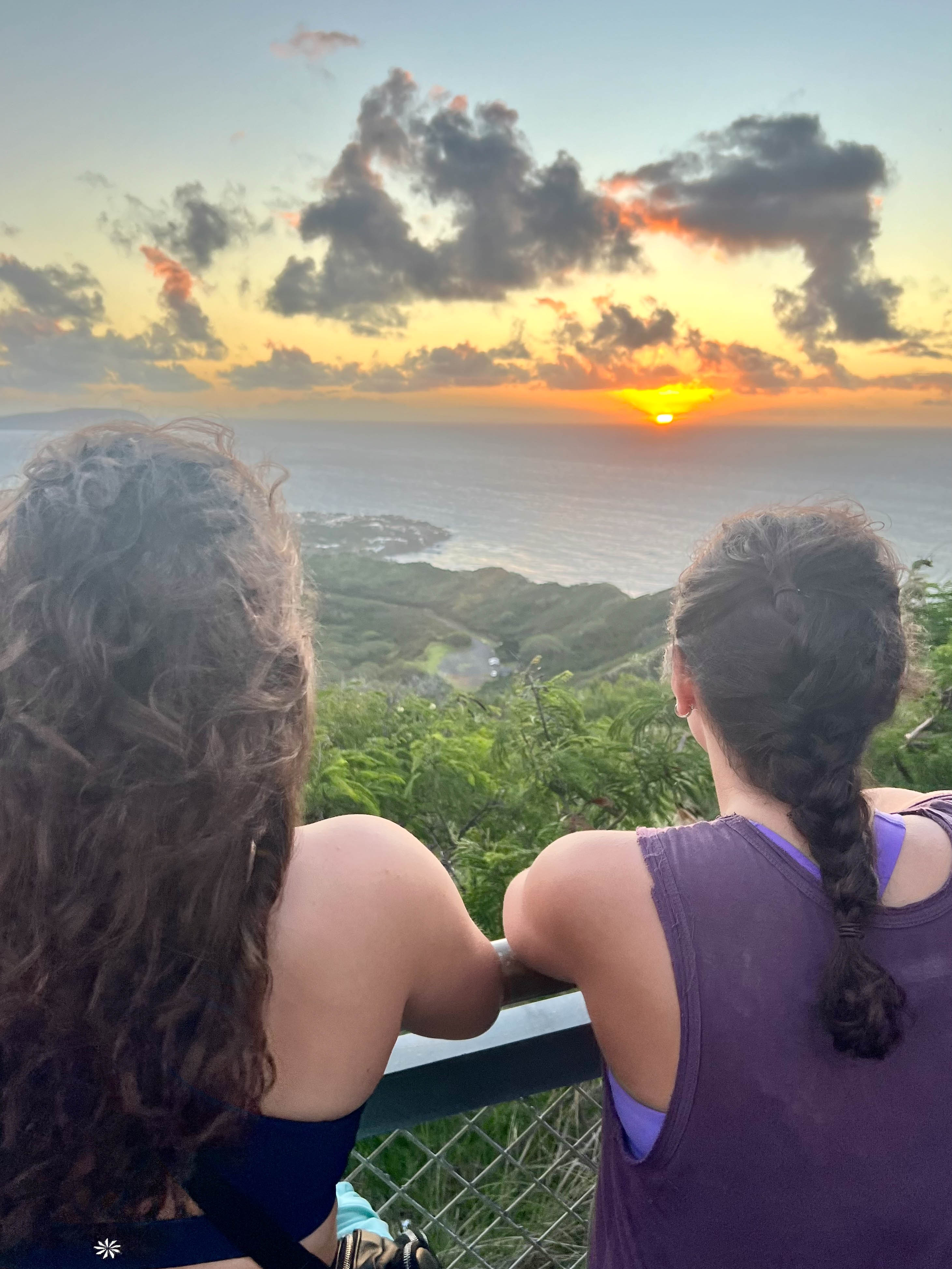 https://0201.nccdn.net/1_2/000/000/159/be6/hawaii-order-85.jpg