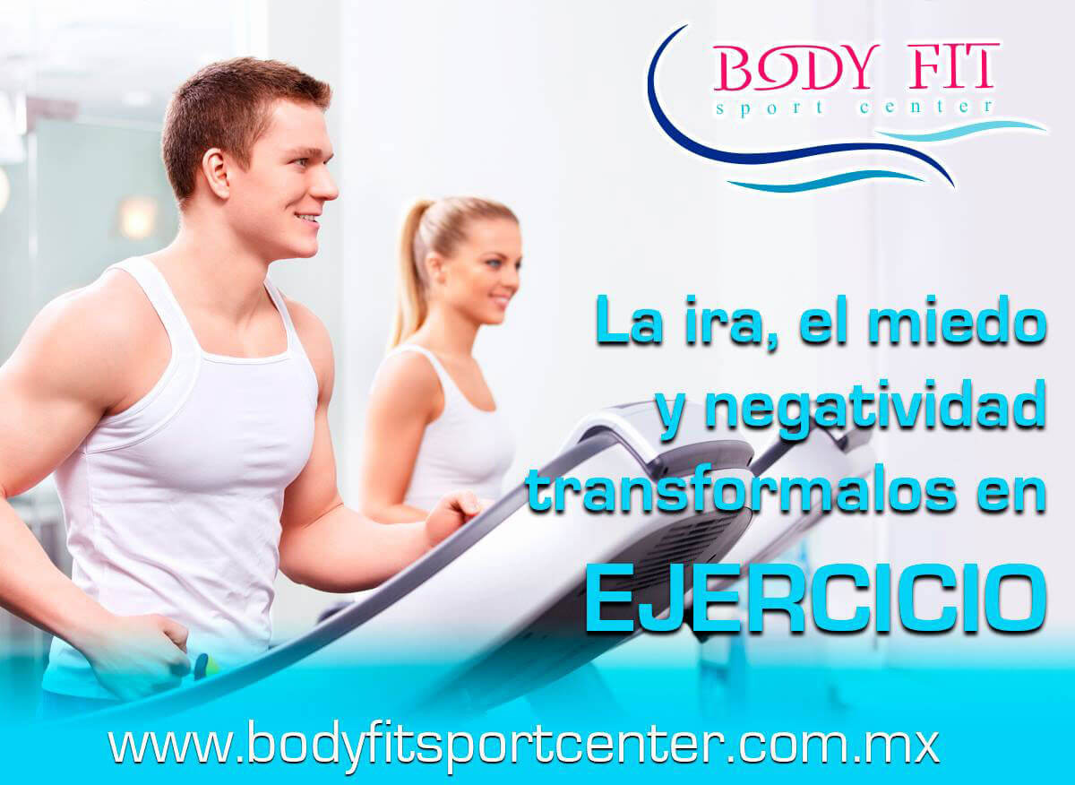 Body Fit Sport Center - Área de Cardio