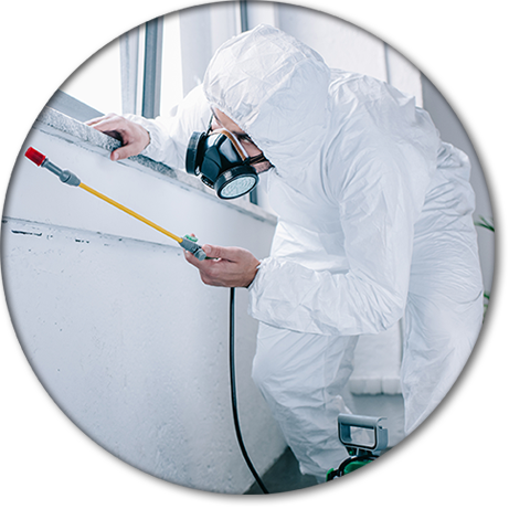 Fumigaciones VHSA - control de plagas Fumigaciones VHSA - control de plagas