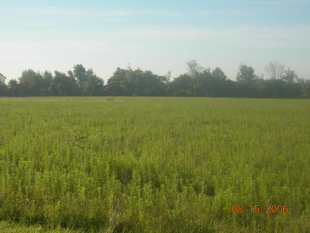https://0201.nccdn.net/1_2/000/000/15a/5bc/land-development01.jpg