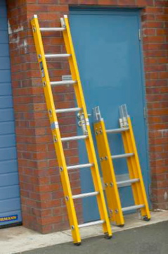 Surveyors Ladder