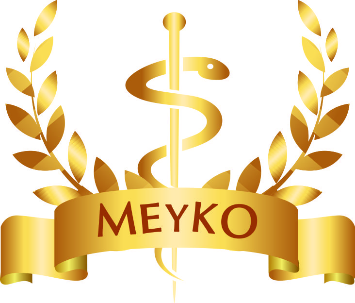 Grupo Meyko