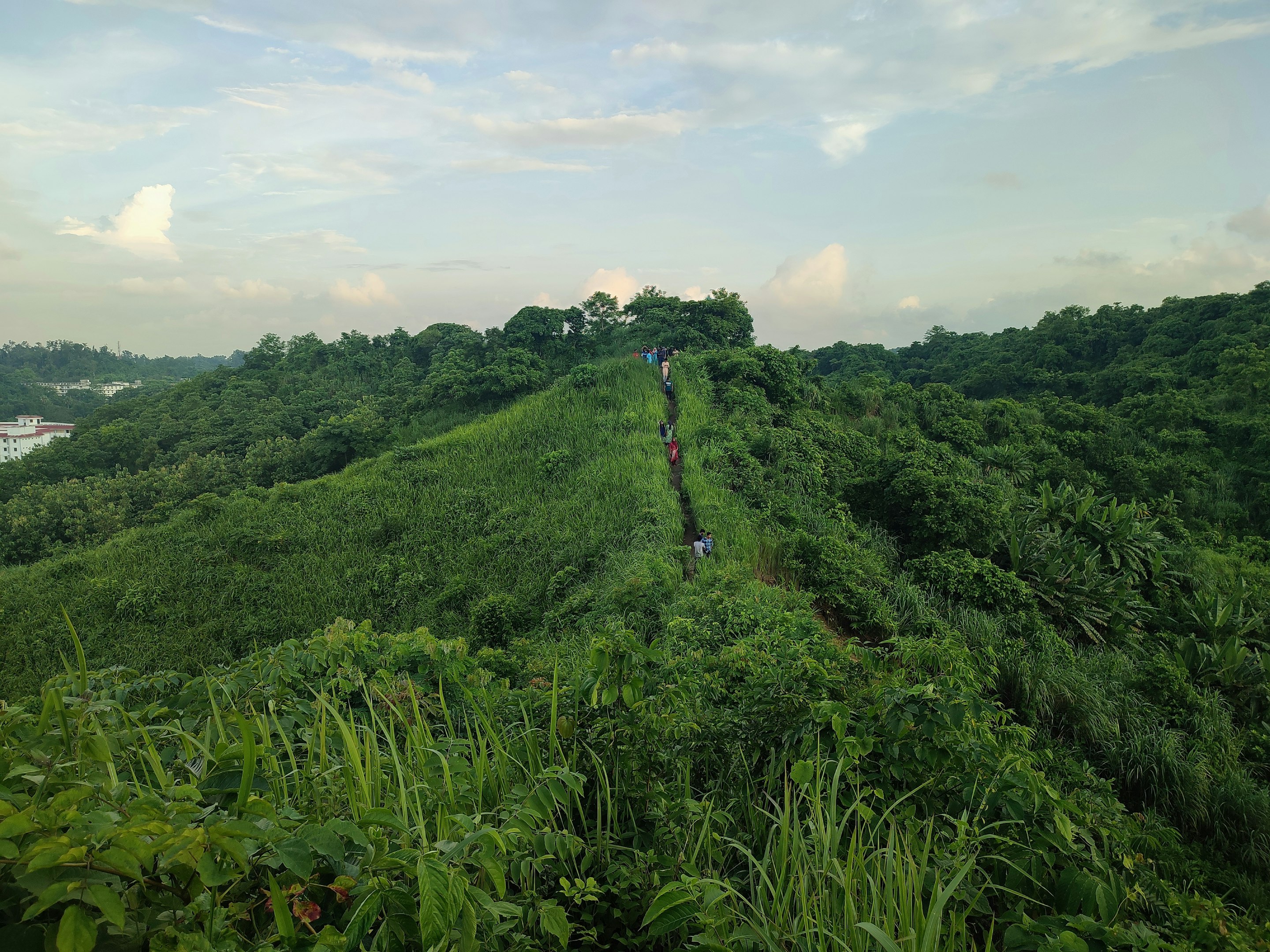 Una vista de una ladera verde y frondosa con un río a la distancia