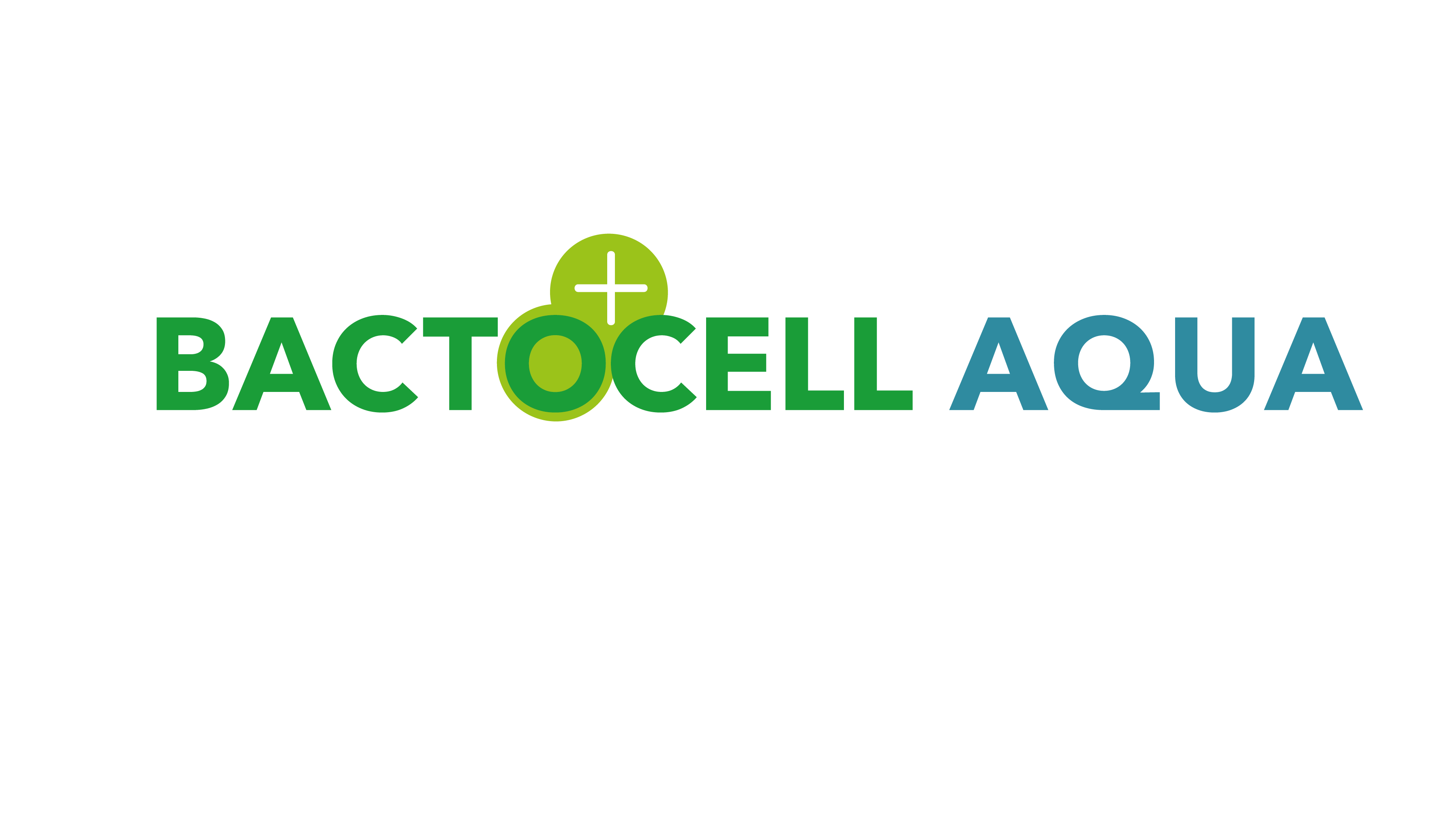 https://0201.nccdn.net/1_2/000/000/15b/576/logos_2025-08.png