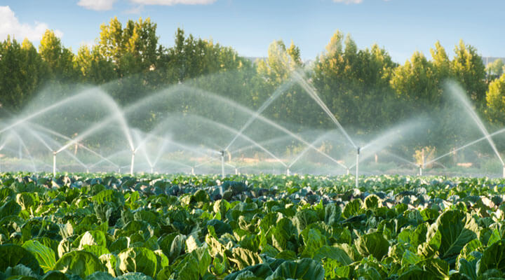 ASICEM - RIEGO AGRICOLA
