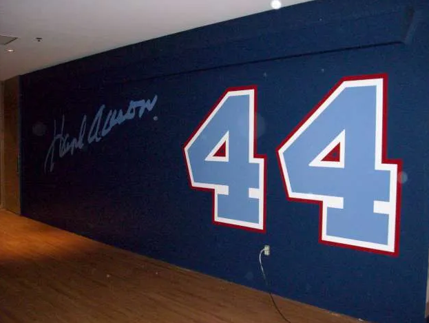 ATLANTA BRAVES
Vinyl Decals (Glass Wall)