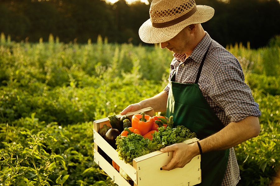 Productores de la Irrigación S.P.R de R.I. - amoniaco