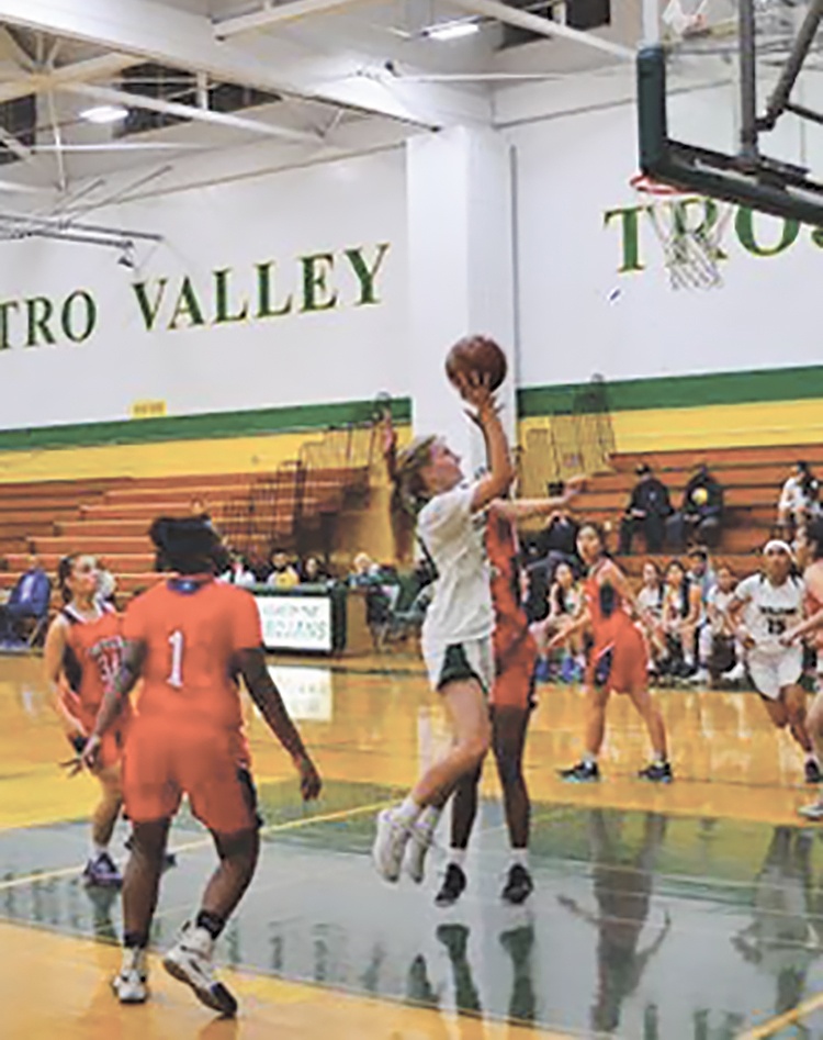 Independent Hometown Community Newspapers Cvf Archives January 2019