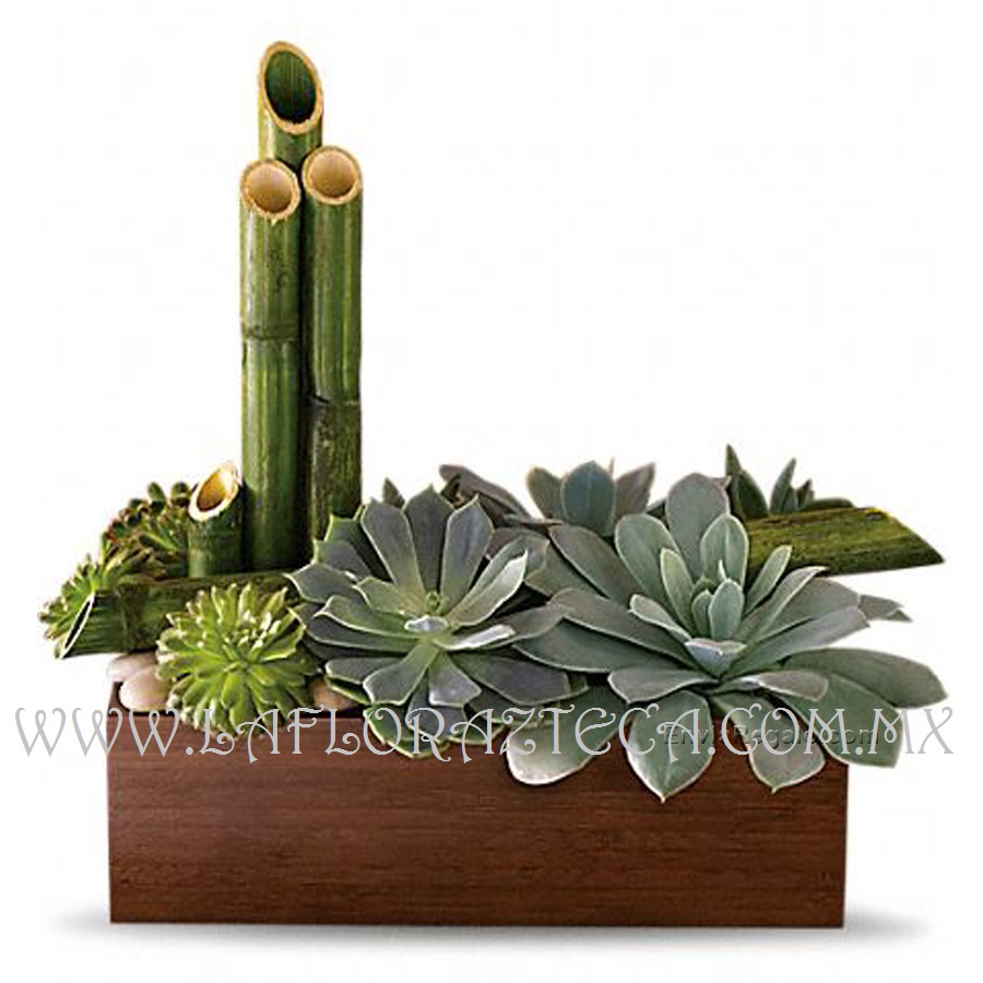 LFA-DA006
Precio $860