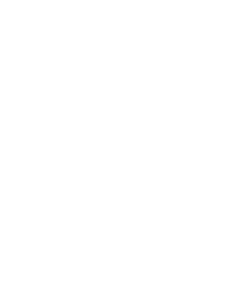 Excelencia Celular