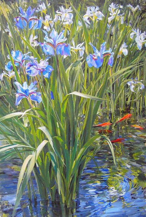 Wild Iris 24x36 sold