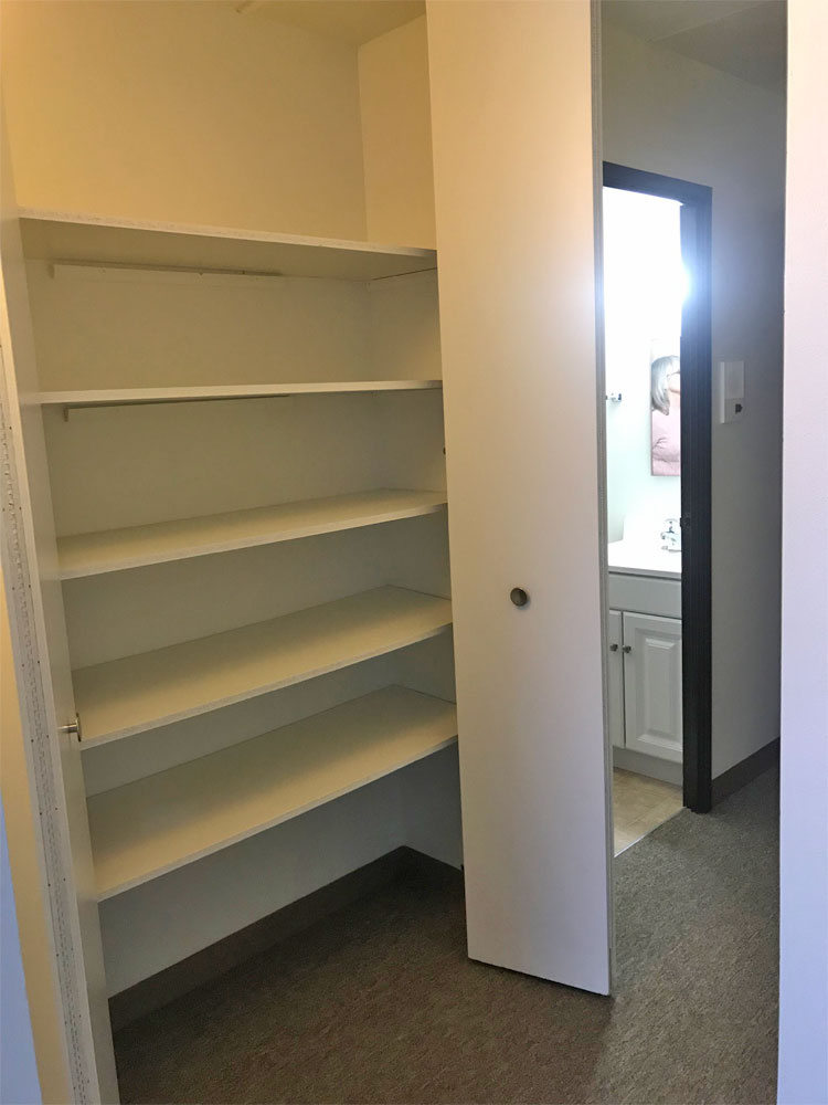 Closet With Shelves