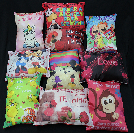 Cojines 30x20cm
$150 pesos