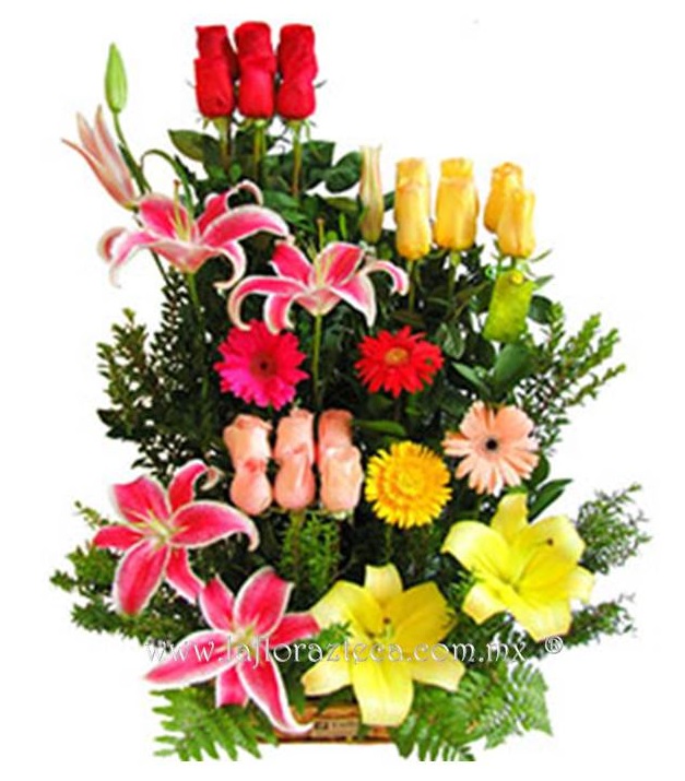 LFA-403
Precio $1,920
