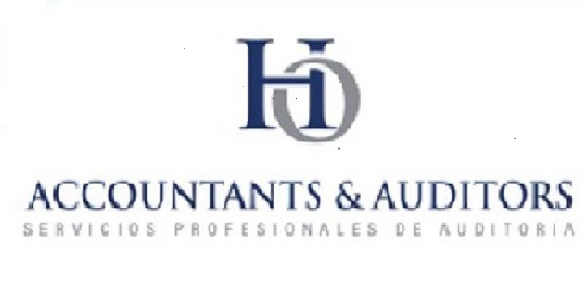 HO  ACCOUNTANTS & AUDITORS