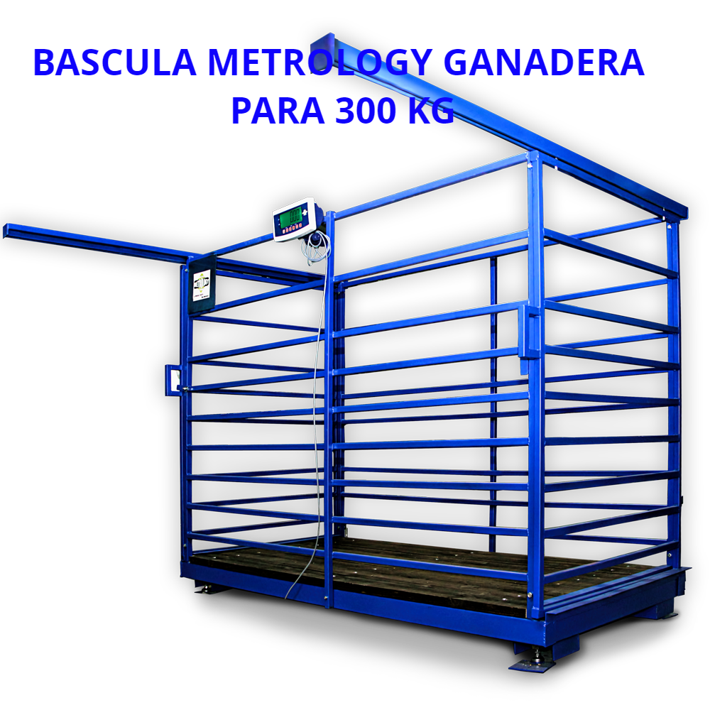 AMASADORA