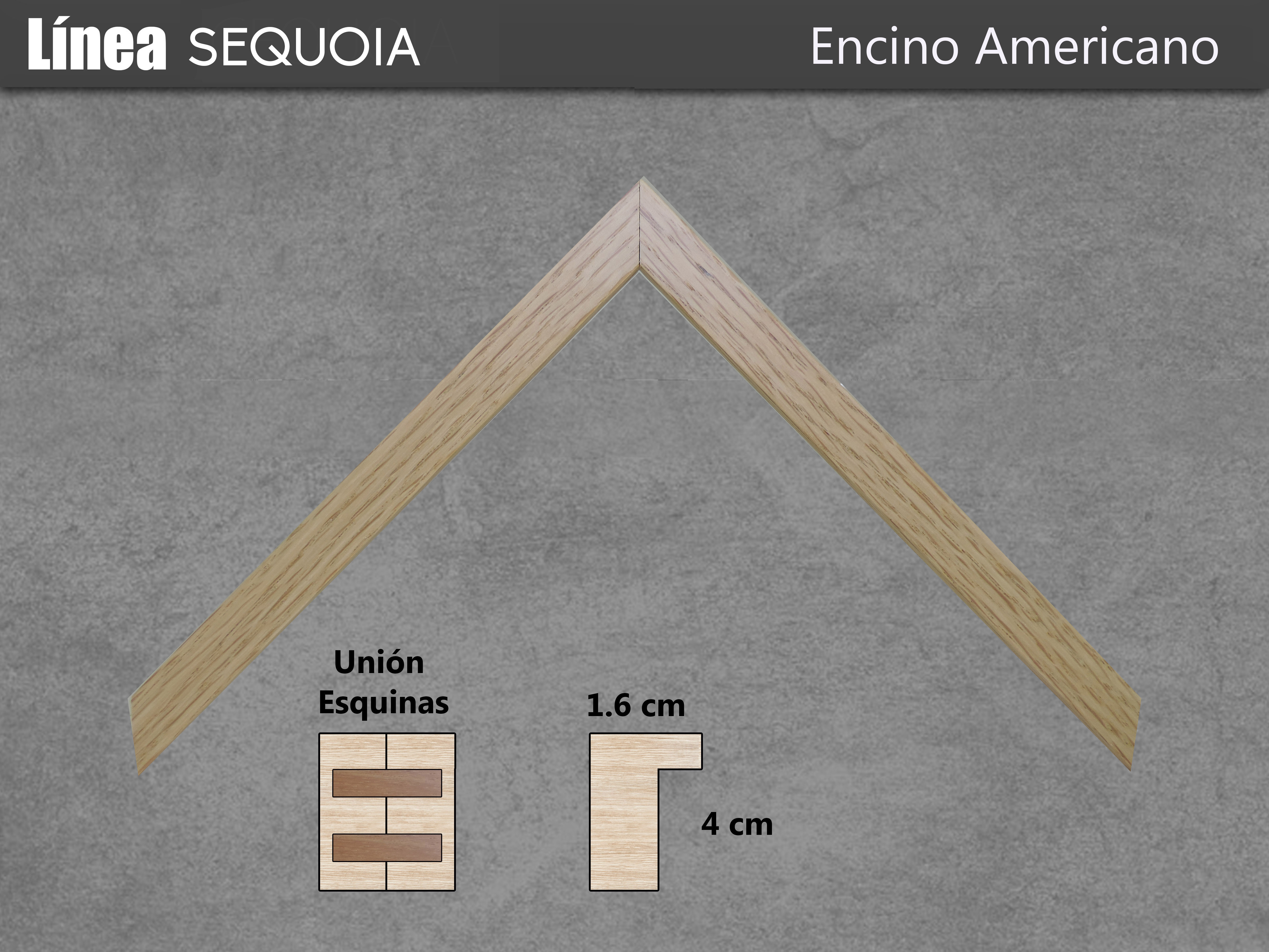 https://0201.nccdn.net/1_2/000/000/15c/5c8/Alta-Encino-Americano-4896x3672.jpg