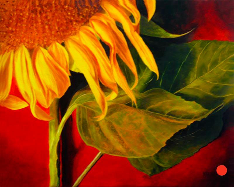 Joy's Sunflower
16x20
Oil on canvas