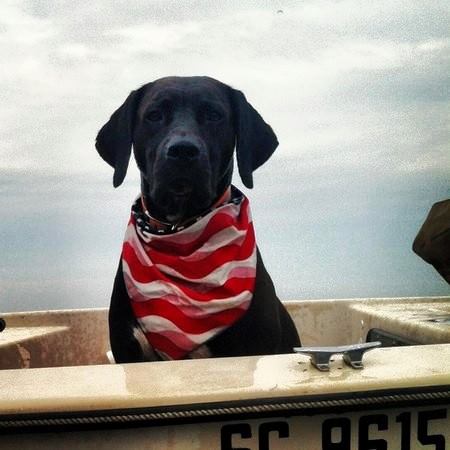 Www Completeanimal Com Home