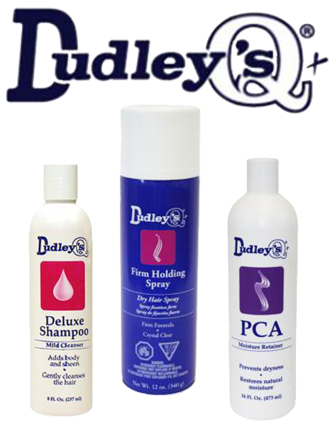 Dudley Hair Products