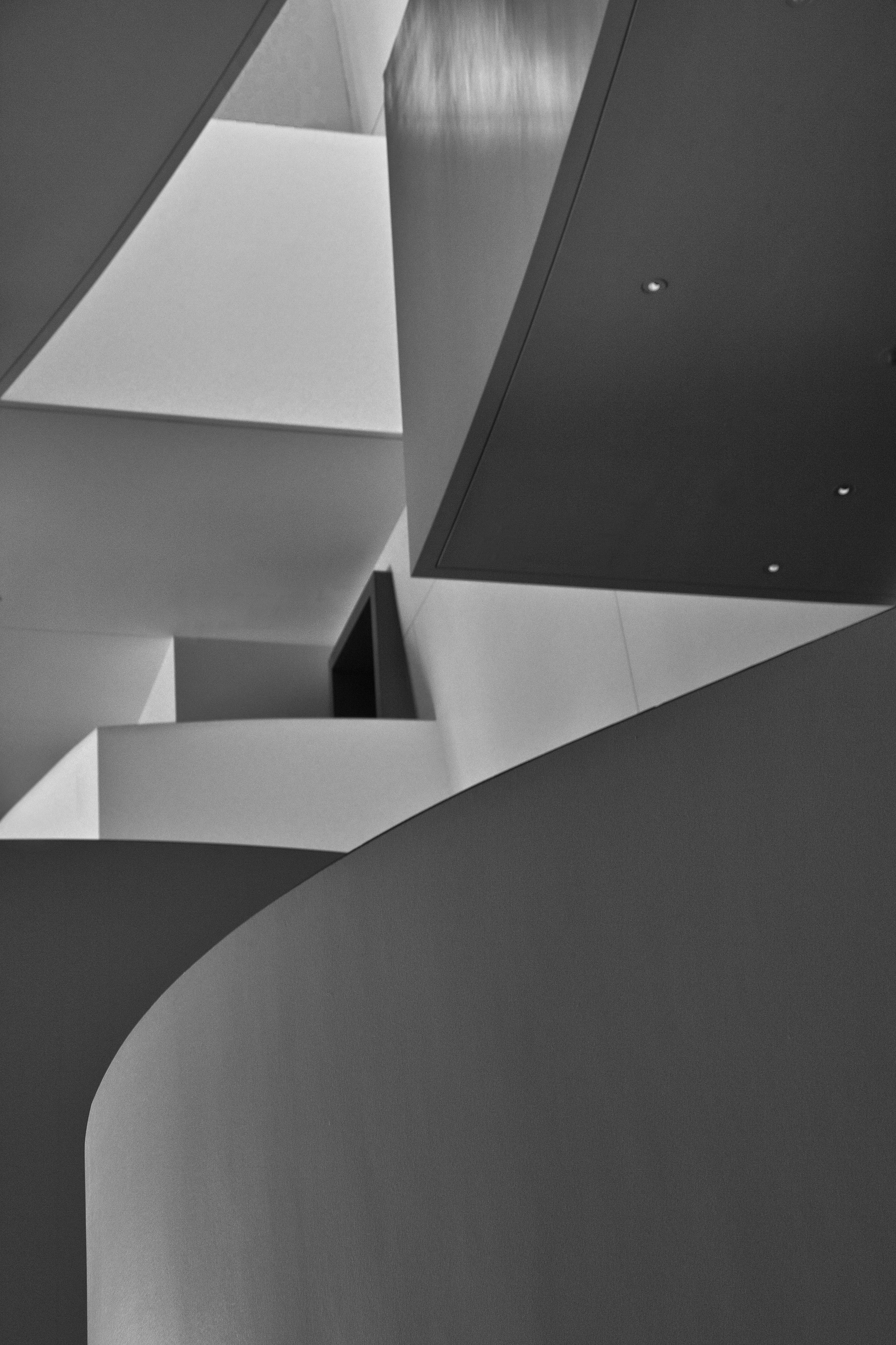 Disney Concert Hall Interior