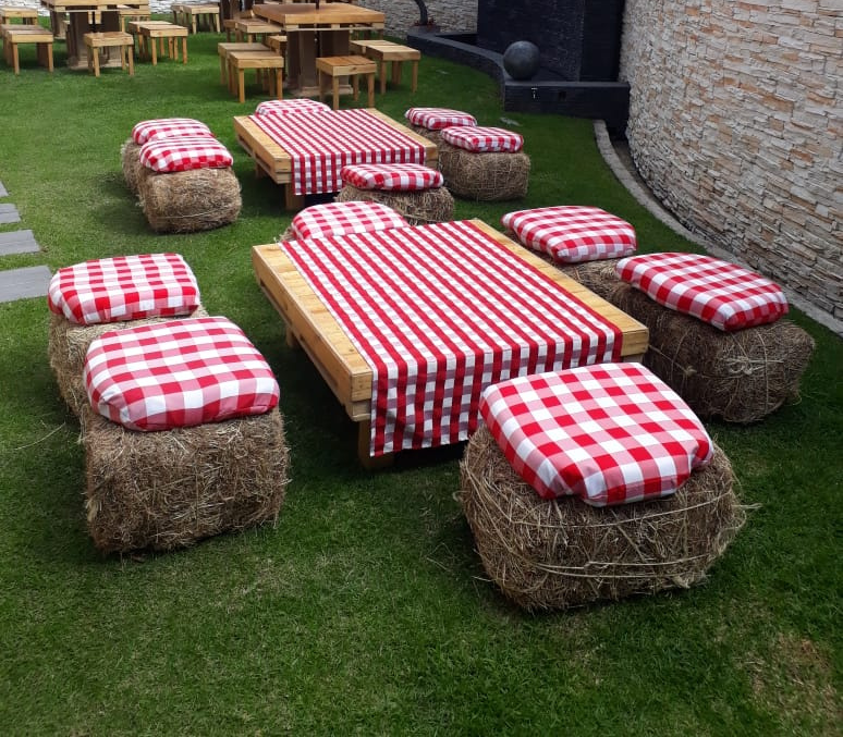 Cojin a Cuadros
Medidas 50x50cm
$5.000 Alquiler