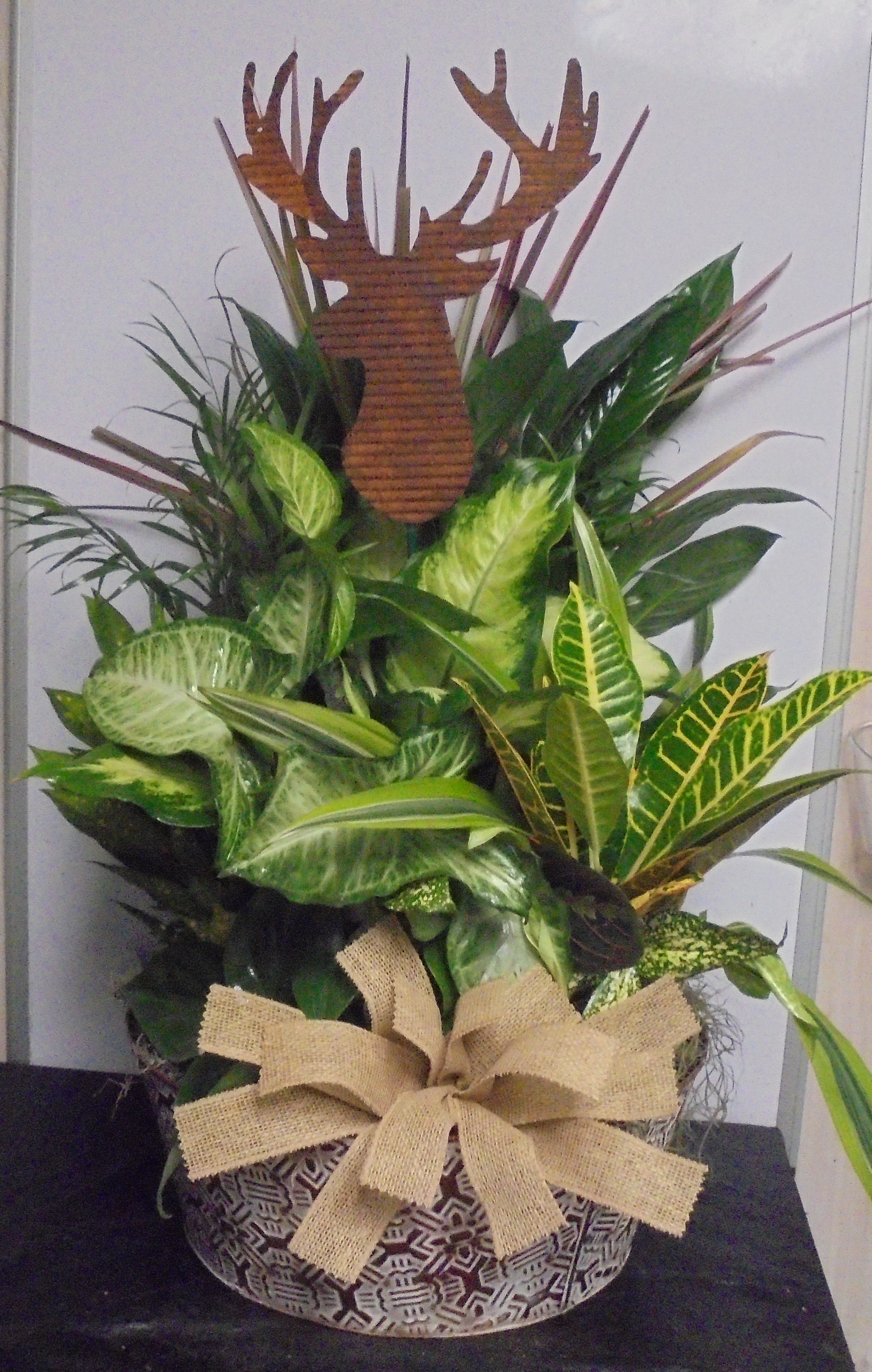 (10) Dish-Garden Plant (Metal)
W/ Deer
$110.00