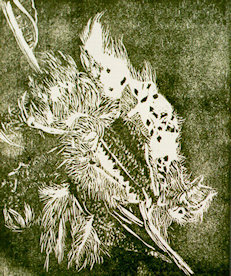 Wdc-002 MILKWEED PODS 8X7 single color woodcut 1989