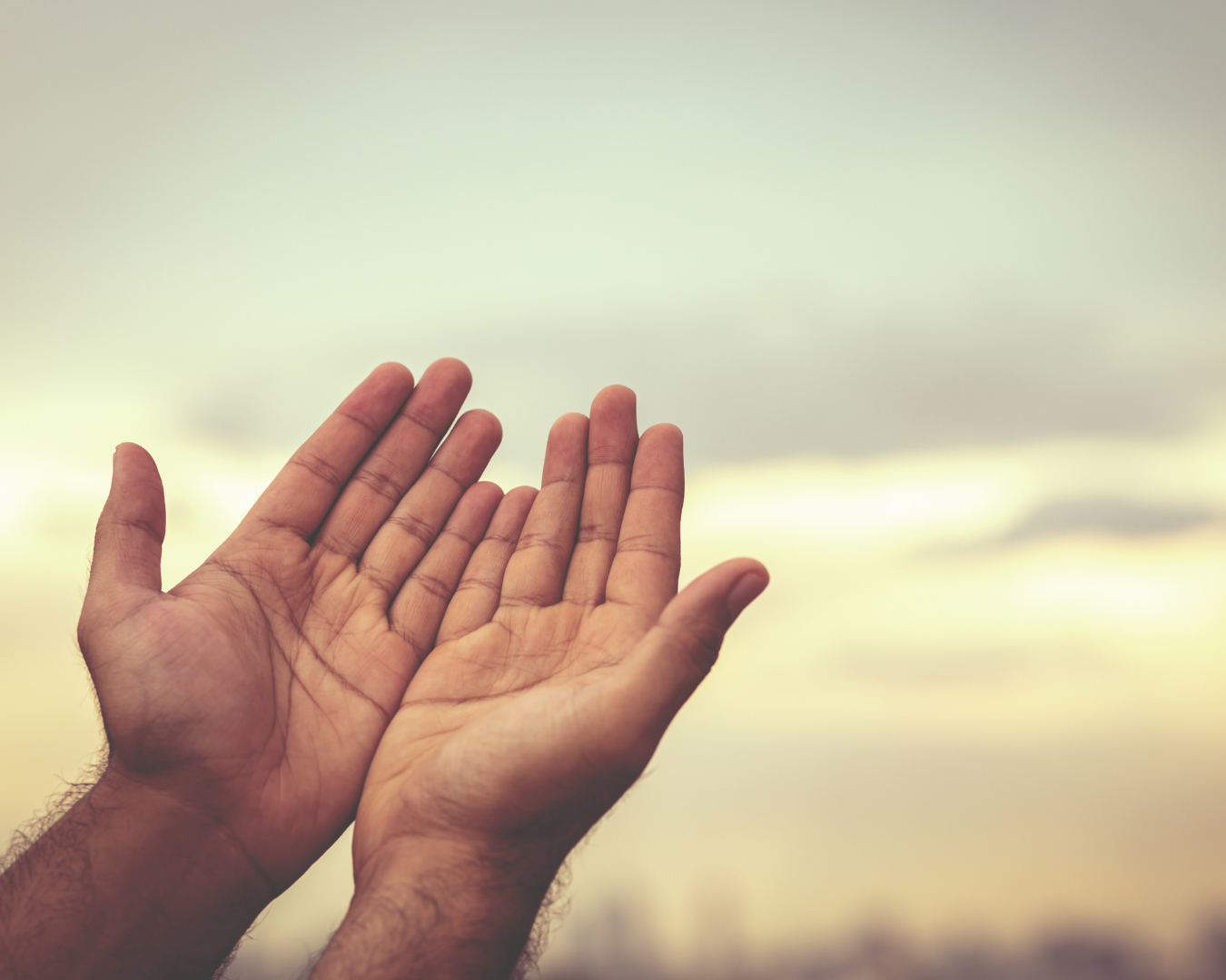 Raise your hands