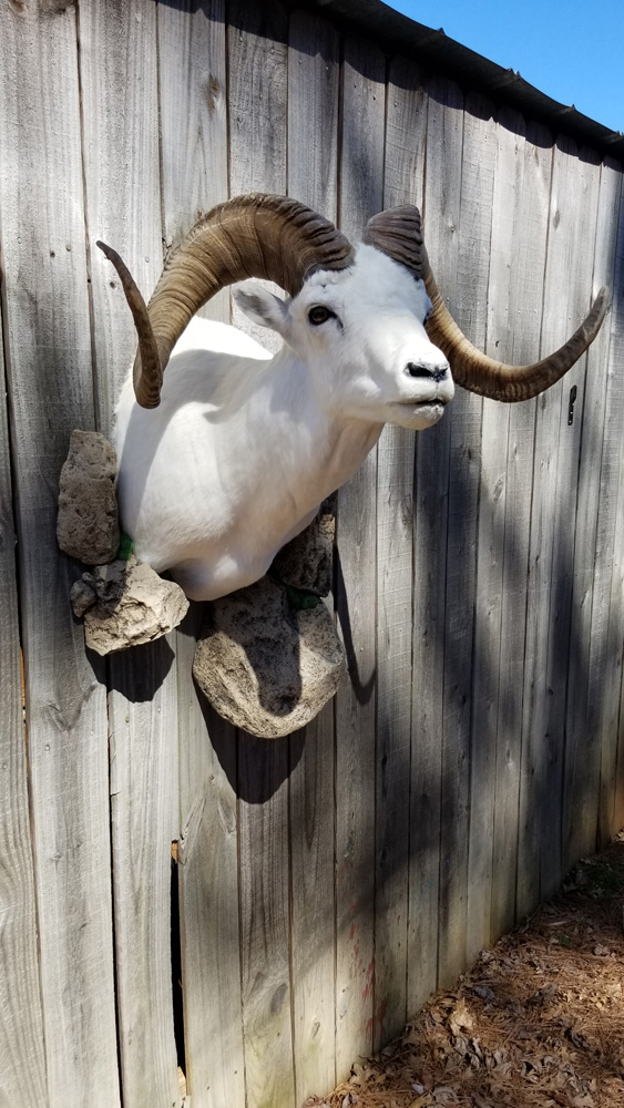 https://0201.nccdn.net/1_2/000/000/15d/bdf/resized_20210308_125434-2-.jpg