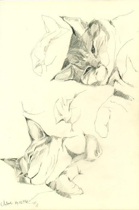 Study of Chloe's head 14.12.96. (Pencil)