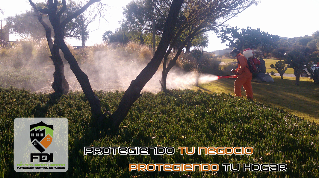 Coloque el título aquí