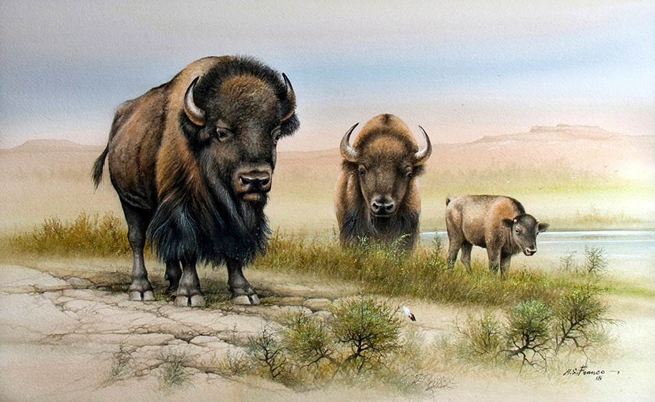" Buffalo at Goodnight Ranch"
Image size 16 x 26"
Watercolor