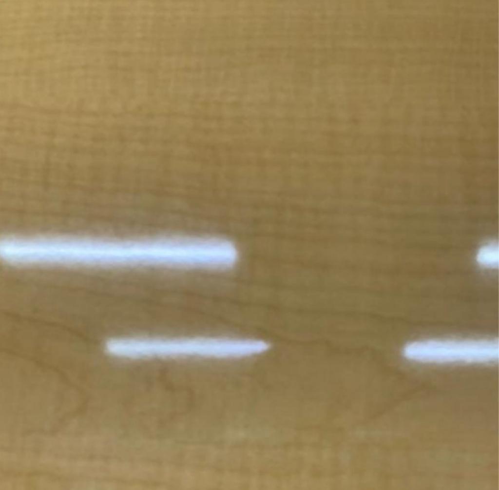 MAPLE GLOSS
ESTILO: AMERICANA