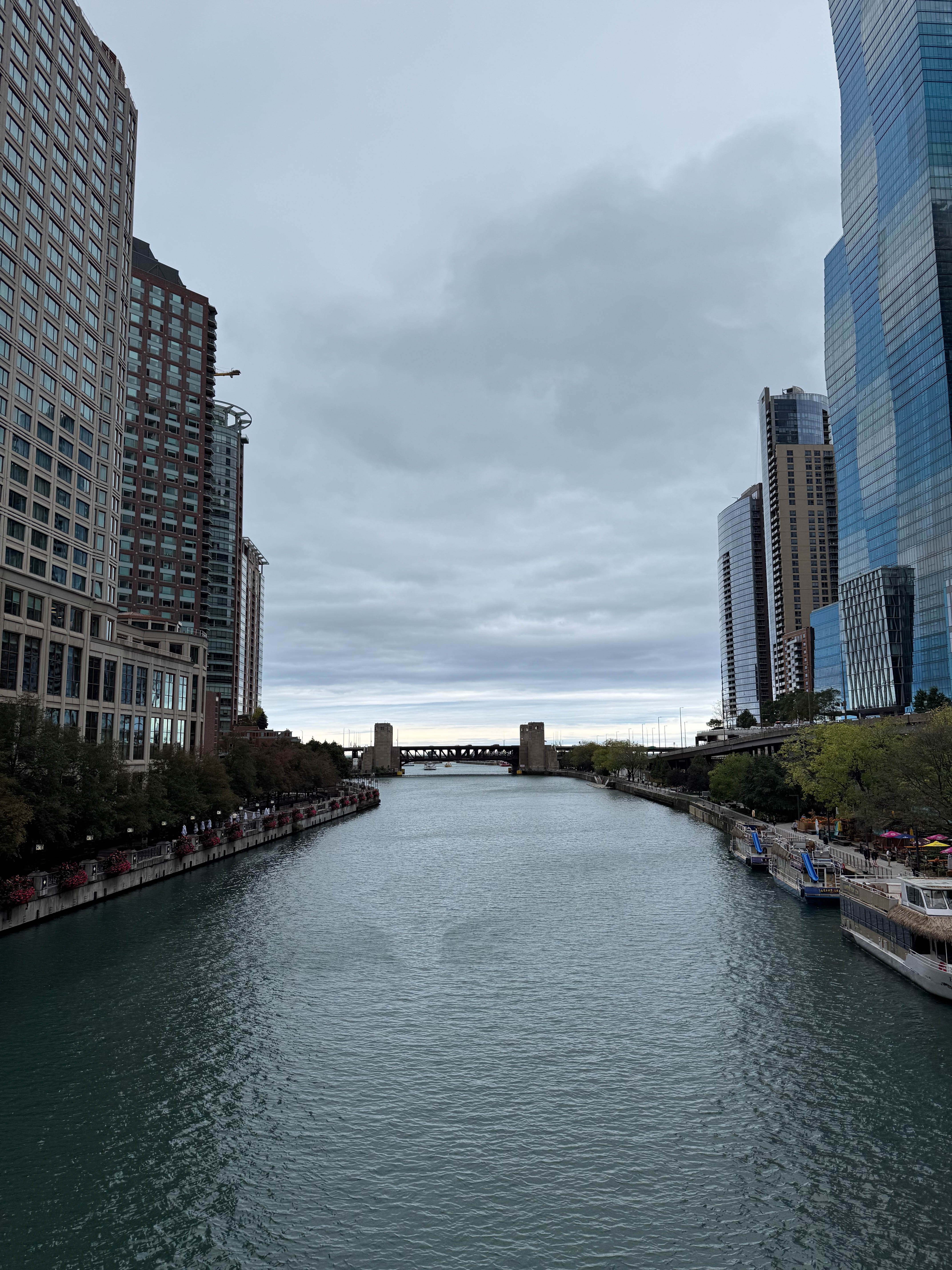 https://0201.nccdn.net/1_2/000/000/15e/ce7/chicago-order-23.jpg