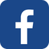 Link Icon