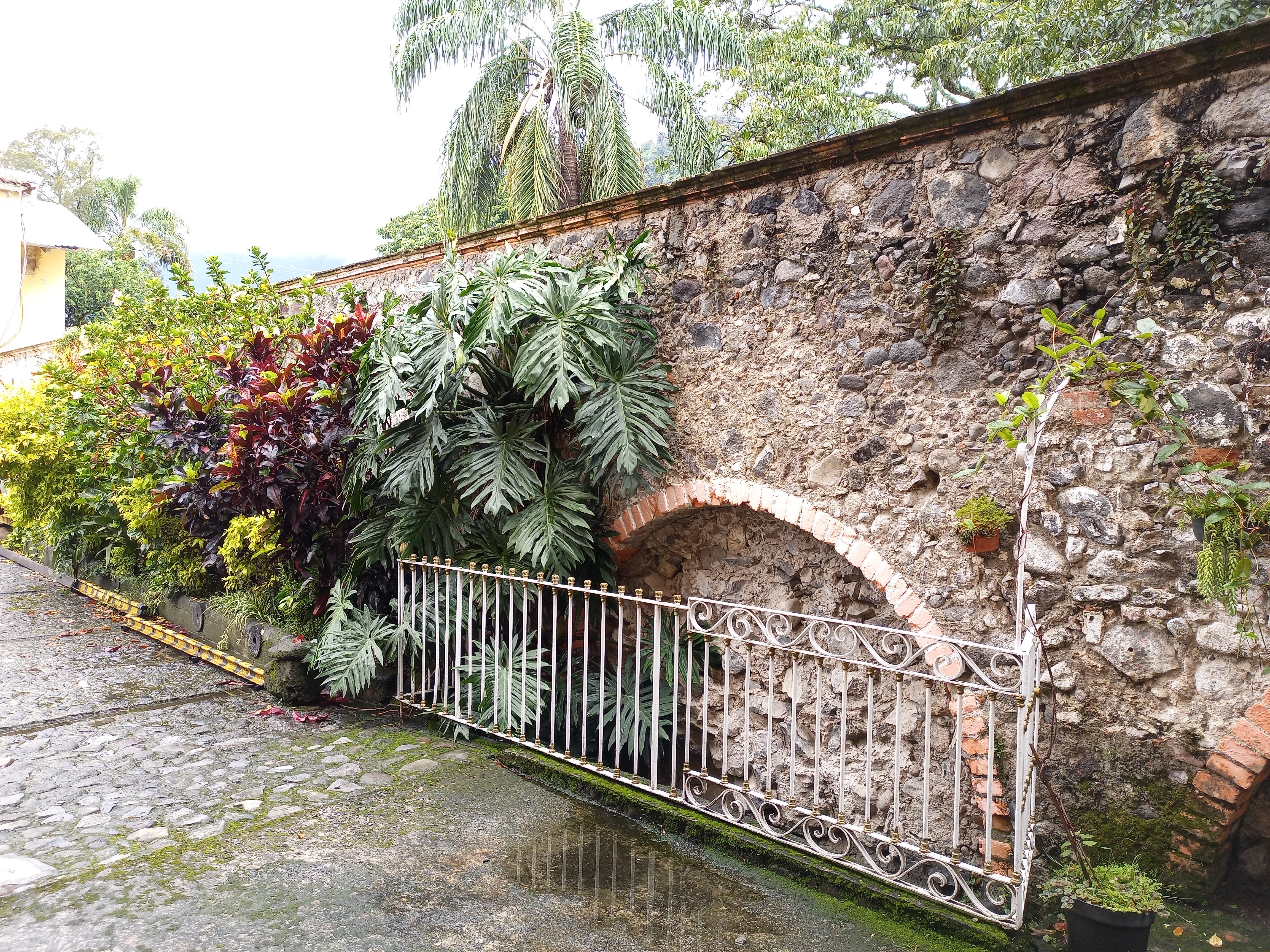 Jardín tropical con plantas exuberantes, palmeras y muros de piedra antiguos junto a un camino empedrado