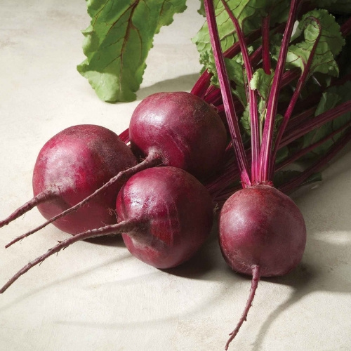Beet Merlin Beet Merlin