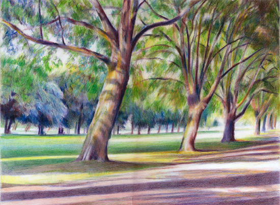 A walk in the park (Coloured Pencil 40cm x 30cm)