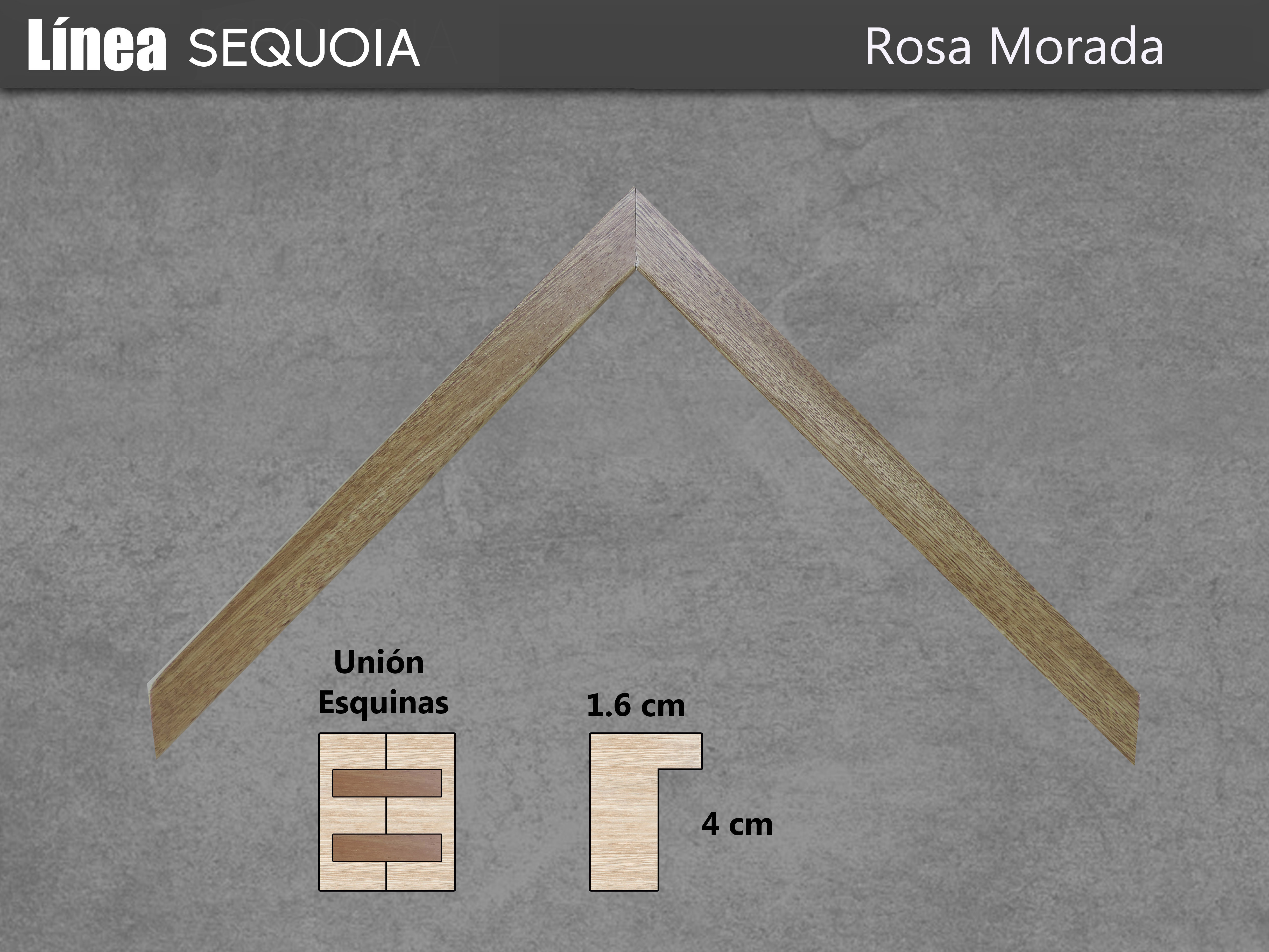 https://0201.nccdn.net/1_2/000/000/15f/b91/Alta-Rosa-Morada-4896x3672.jpg