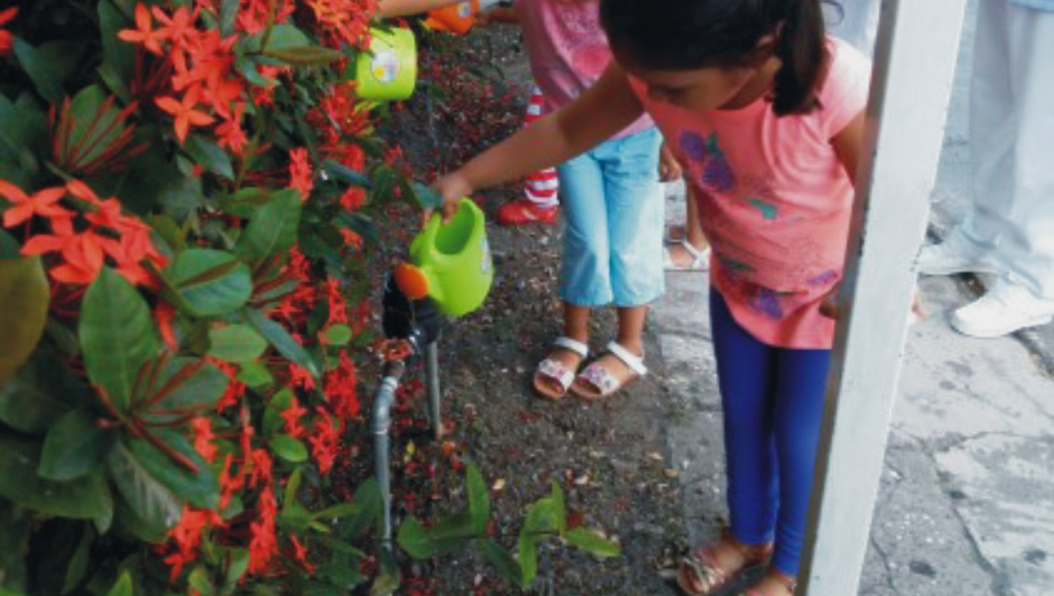 Education and Training