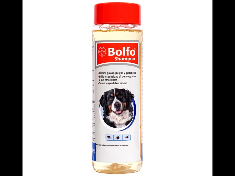 BSHB BAYER SHAMPOO BOLFO