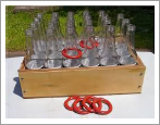 Ring toss $15||||