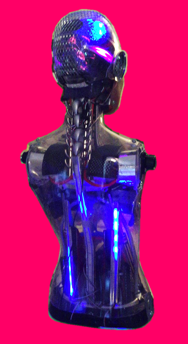 Kolander Images - Lucia Build - Rear View