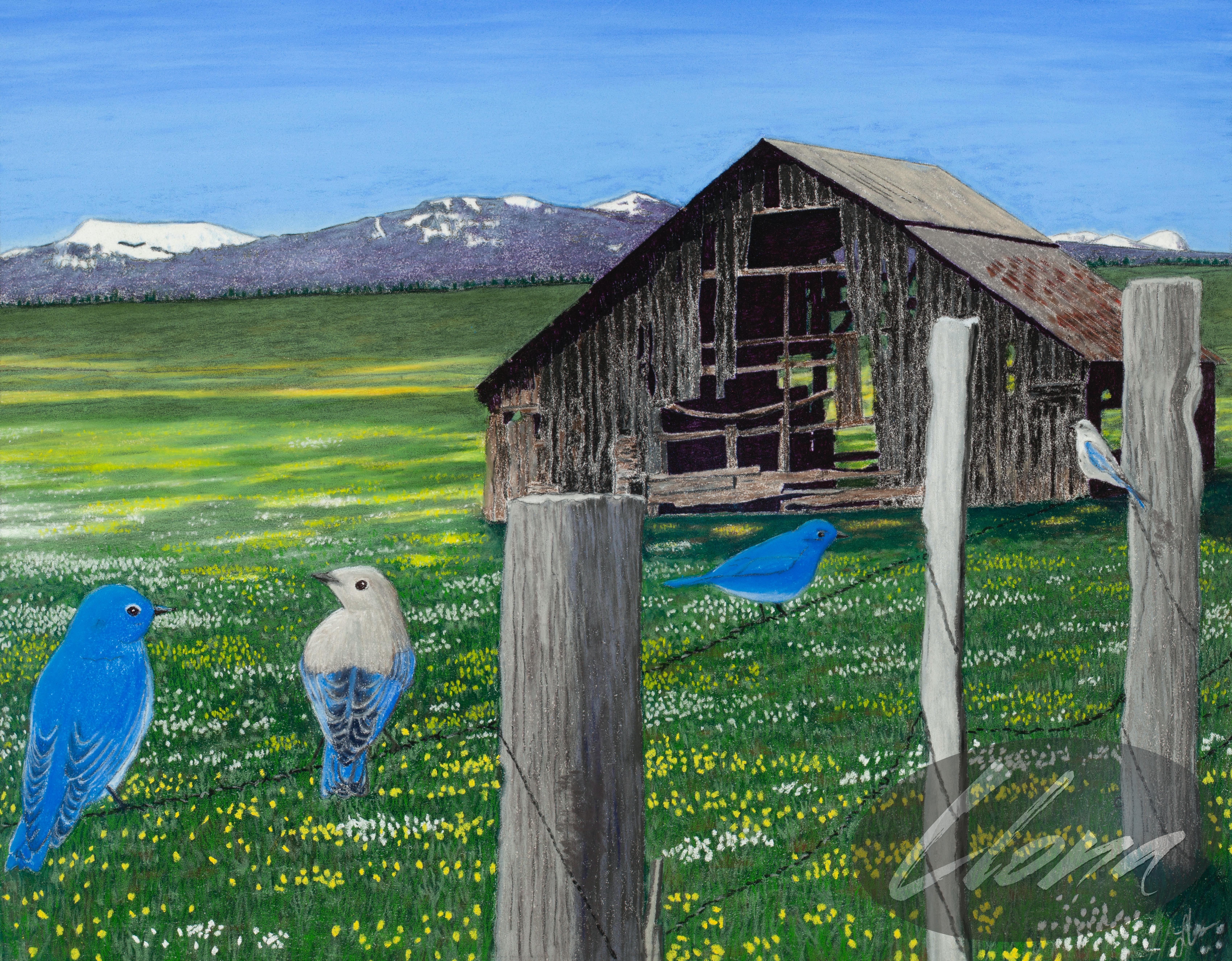 Bluebirds & Buttercups
Original Pastel Painting
13.25" x 17"