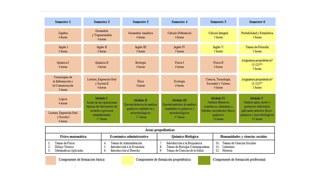 ASIGNATURAS PROPEDEUTICAS