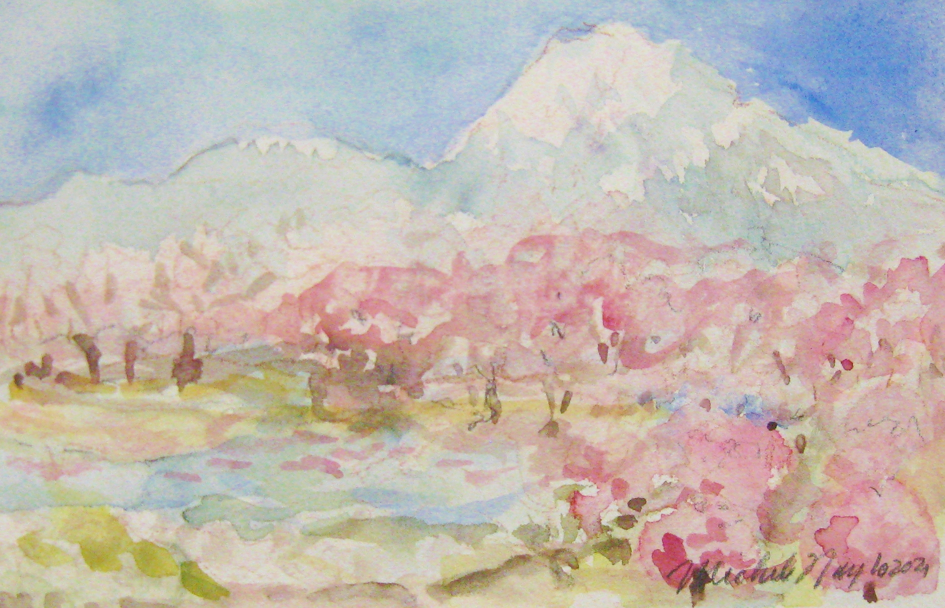 Taylor, Spring Blossoms, 4 1/2 x 7 WC