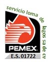 Servicio Loma de Lagos
