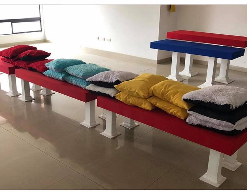 Cojines en tela felpudo
44cm x 44cm
Alquiler $ 5.000
Precio Unitario