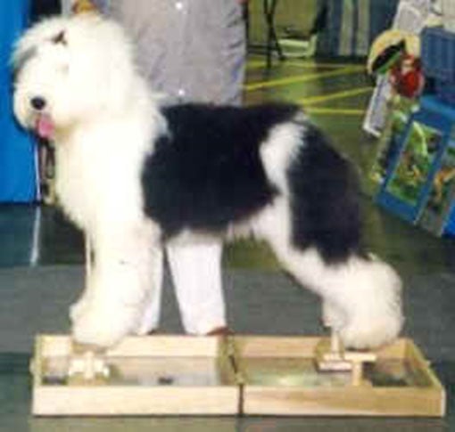Happy legs hotsell stacking blocks